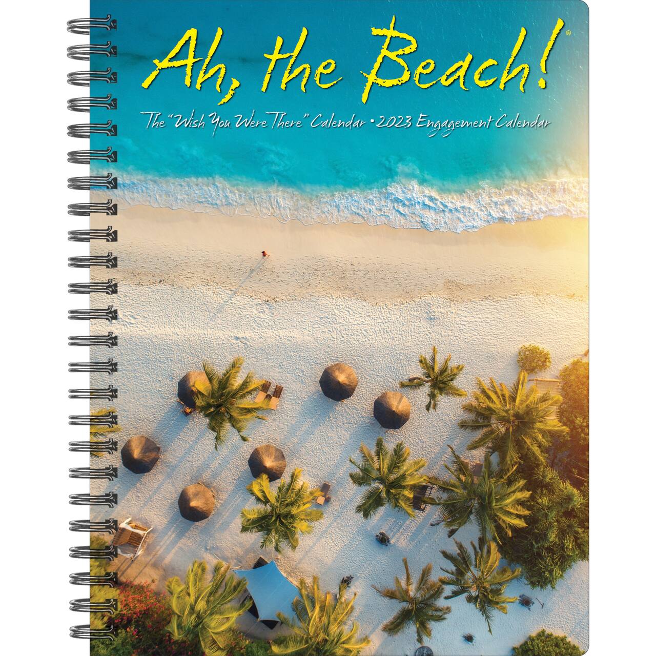 2025 Ah, The Beach! Engagement Calendar Michaels